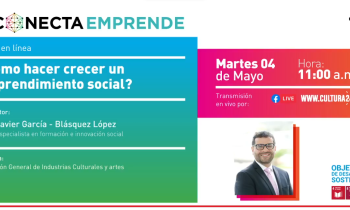 ¿Cómo hacer crecer un emprendimiento social?