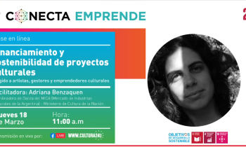 Financiamiento y sostenibilidad de proyectos cultu...